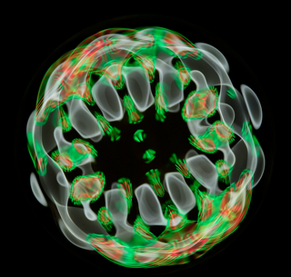 Illustration for article titled These Images of Sound Waves in Water Are Hypnotic